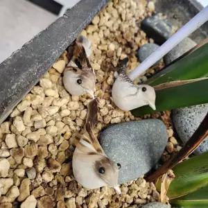 아기새 모형 정원장식 작은 참새