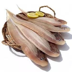 생선 생선구이 군산 반건조생선 반건조 대 냉동생선 박대 5미