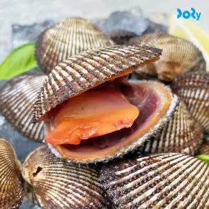 [도리마켓] 당일 채취 후 발송 국내산 별미 피꼬막 피조개 2kg (30-40미 내외)