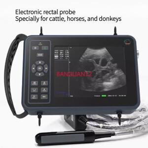 수의학용 B 초음파 기계, 소, 말, 당나귀 전용/돼지 및 양 전용을 선택할 수 있습니다.