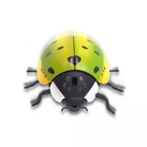 장애물을 감지하는 곤충장난감 무당벌레 3D캐릭터 완구 인테리어인형