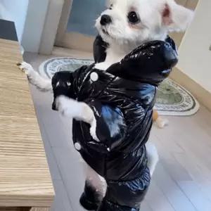 강아지 겨울 방한 패딩 애견 점퍼 겨울 강아지 패딩 조끼 애견 점퍼 옷