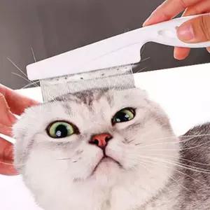 강아지 고양이 브러쉬 눈꼽 털관리 일자 참빗 대