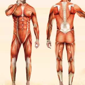 진격의거인옷 근육 빅사이즈 쫄쫄이 진격거 코스프레