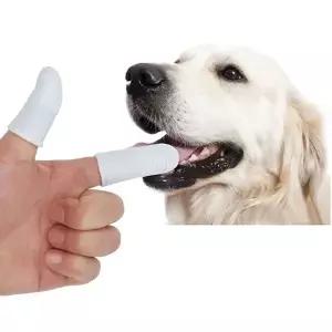 강아지 일회용 거즈 손가락 칫솔 2개입 1P 고양이 애견칫솔