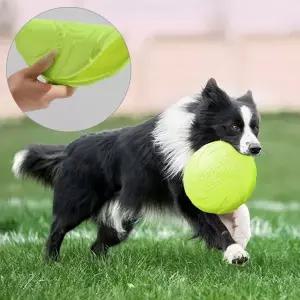 강아지 고무 실리콘 원반 1P 프리스비 장난감 교감 다용도원반