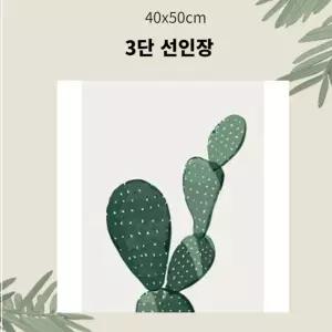 (OH) 명화유화그리기 A-175 3단 선인장 중형 40x50DIY그리기 집콕 콕취미 그리기 생활 킬링타임