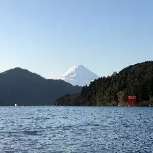 [공동행사] 도쿄 4일 #전일 관광 #일본 최고의 온천마을 하코네부터 근교 가와고에+화려한 도쿄까지 핵심 관광 #온천욕체험 #전망대 #오다이바 #아사쿠사 #신주쿠 #도쿄숙박