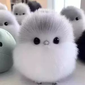 뱁새 인형 참새 뱁이 모찌 모형 오목눈이 동물 흰머리