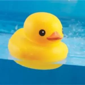 정품 러버덕 물놀이 목욕 오리 장난감 아기 놀이 완구 유아 욕조 용품 3살 애기 아가들 선물
