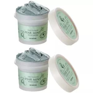 스킨푸드 워시오프팩 푸드마스크 스크럽 페어민트 2개