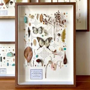 곤충표본액자 캘리그라피 캔버스 인테리어 사이즈 15.2 장식 액자 기타 표본