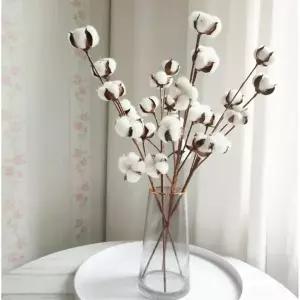 제이킨 10송이 목화꽃 가지 조화 인테리어 소품 목화솜꽃 목화