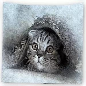 고양이 프린트 벽 꾸미기 가림막 포스터 사이즈 소