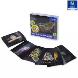 (러닝리소스)LER2928 무빙 라이프 사이클 카드(동식물의 한살이)