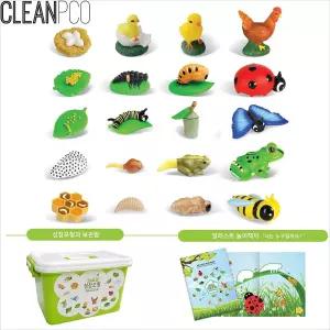 h57 소프트 성장모형세트(20pcs+정리함)/놀이/자연/가정/어린이/채집/관찰/장난감/교육/키트/교구/완구