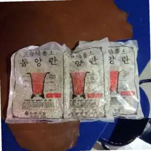 화분돌 휴가토 동양란 소포장