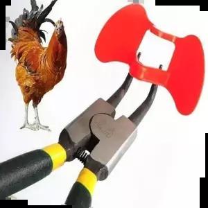 앵무새횟대 펜치 닭싸움방지 간편눈가리개 닭안경 꿩안경 세트