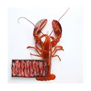 랍스타 350-400 4.54kg 냉동 캐나다산