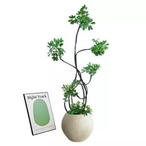 개업 중대형화분(바퀴형물받이포함) 벵갈고무나무 공기 승진 정화 선물 식물 취임 이전