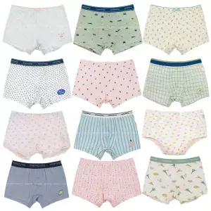 삐삐롱 25 F/W 아동 유아 어린이 데일리 속옷 모달 스판 사각 드로즈 팬티