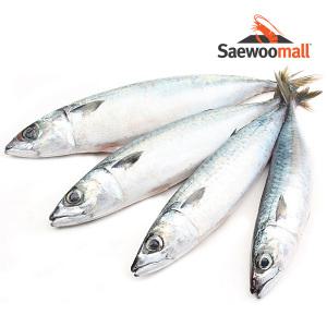 [새우몰] 국산 냉동고등어 10kg