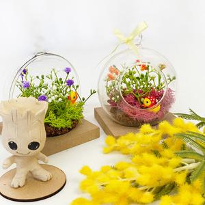 [문구티쳐] 모스로 봄 테라리움 만들기 1인세트 (MDF/원목) 받침 2중택1 프래그런스 이끼 반려식물 DIY