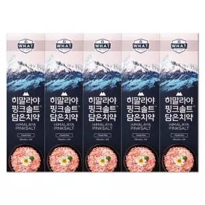 엘지 죽염 히말라야 핑크솔트 담은 치약 플로럴 100g X 5개