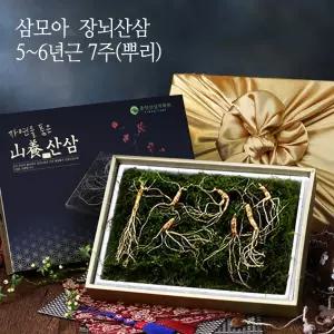[삼모아] 장뇌산삼(산양산삼) 5-6년근 7뿌리(보은세트)