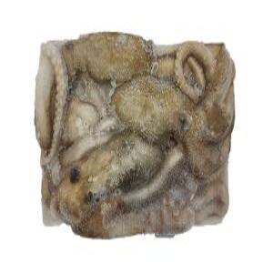 냉동낙지 활낙지(3미) 850g 업소용 박스 연포탕