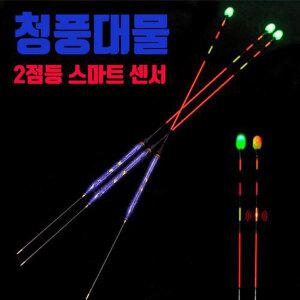 SUNFC 청풍대물 스마트 입질감지 올림찌 낚시찌 민물찌 전자찌