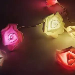 LED 파우더 컬러 장미 조명 3m WF4D9CE