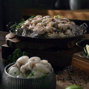 쭈꾸미5팩 갑오징어5팩 한국인증농수식품사업단 자연산