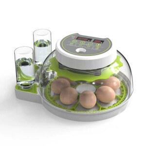 병아리부화기 오리 유정란 키우기 온도제어 33매 알부화기 육추기 가정용 아리 달걀 메추리