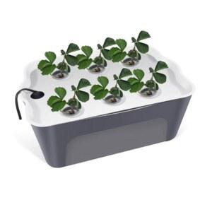 상추키우기 수경재배 흙없는 야채 3단 야채키우기 화분 상자 심기 심는 발코니 수경 기계