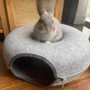 토끼집 은신처 구멍집 대형 펜스 숨숨집 회색