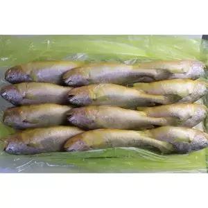 냉동 부세조기 3.4kg 12미 특대