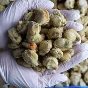 냉동 자숙 가리비살 10kg 손질 비단가리비