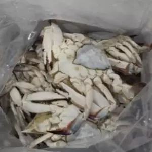 남해 냉동 가을 암꽃게 1kg 3-5미