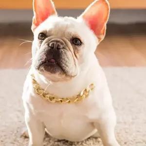 강아지 금목걸이 불독 체인 반려 동물 고양이 촬영 소품 액세서리 플렉스 사이즈 조절