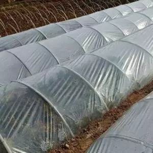 농업용 하우스 비닐 2mX10m 튼튼한 재단 텃밭 채소 농업용비닐 하우스비닐