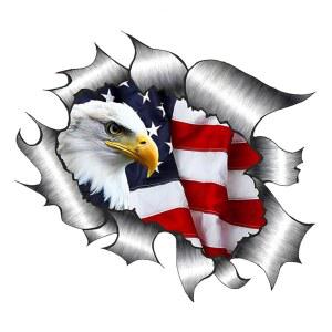 2팩 아메리칸 볼드 이글 자동차 데칼 스티커, 5.91X5.51인치 패트리엇 트럭 방수 범퍼 트레일러 SUV 밴 야외 창문 벽 노트북 태블릿 유리 (번호 3)