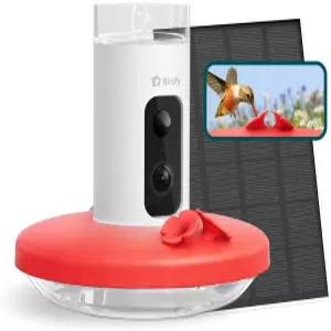 카메라가 장착된 Birdfy 스마트 벌새 모이통 자동 감지 기록 새 비디오 즉시 알림 라이브 뷰 야외용 태양열