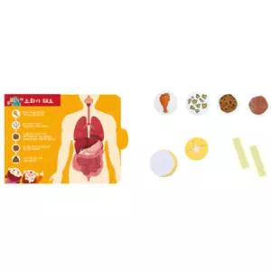 인체 내장 소화기관 똥만들기 워크북 작은 초등학교 교사용 퍼즐