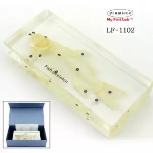 아크릴 3D 물고기 뼈 실물 표본 어류 뼈대 관찰 과학 교구 초등 학교 과학실 중학교 생물