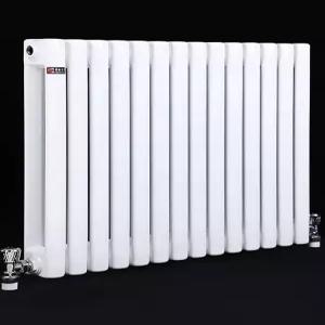 라디에이터 겨울용 온수 화이트 동파방지 욕실 인테리어