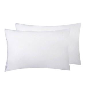 일레인 카렌 2팩 비닐 베개 보호대 - 표준 사이즈 지퍼 커버 100% 방수, 빈대 방지 세탁 및 재사용 가능한 케이스