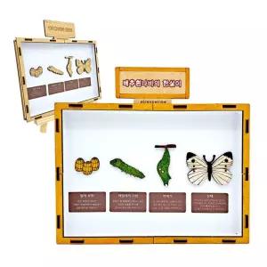 배추흰나비의 한살이 만들기 브로마이드 제공/과학/수업/탐험/발굴/키트/관찰/도구/교구/세트/모형