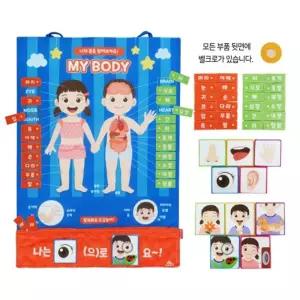 아기 벽보 신체 만들기 어린이집 펠트교구 수업용 엄마표 찍찍이 몸공부