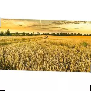 보석비즈 황금 밀밭 (패브릭) 보석십자수 40x70